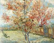 粉红色的桃树 - 文森特·威廉·梵高